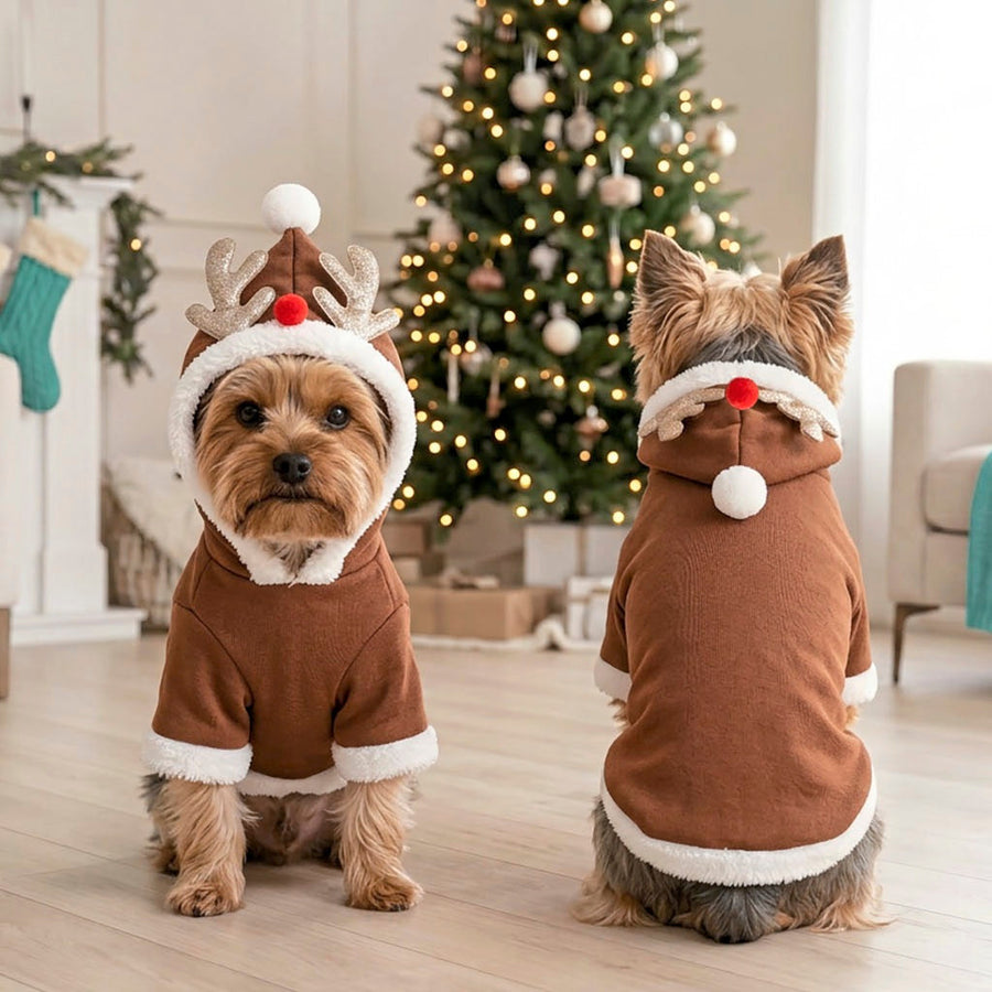 Zwei Hunde im Rentier-Hunde-Hoodie vor dem Christbaum
