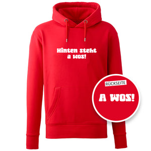 Hoodie "A Wos!" (mit Rückenprint)