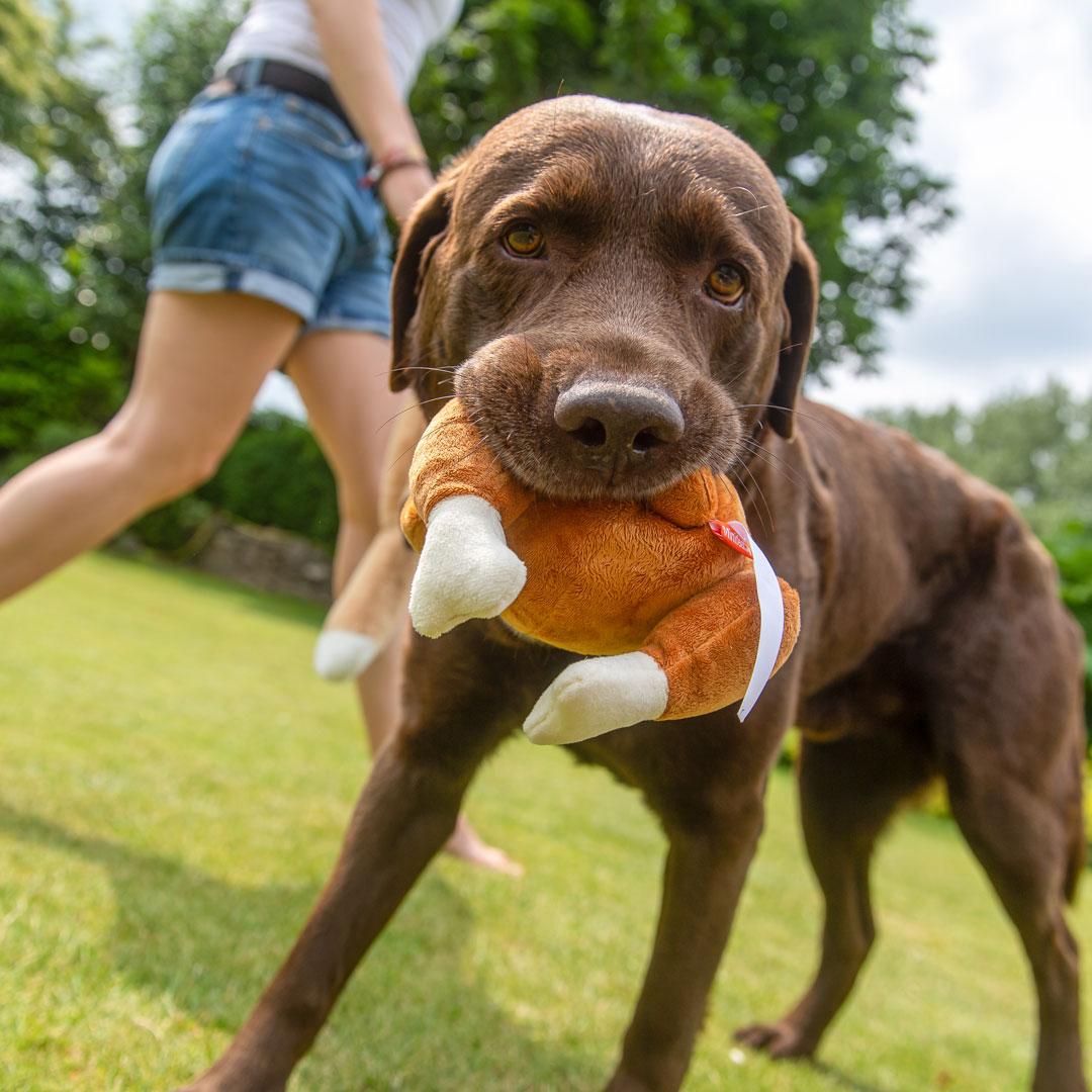 Hundespielzeug "Giggerl" - meinherzschlag.de