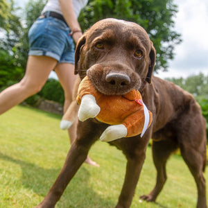Hundespielzeug "Giggerl" - meinherzschlag.de