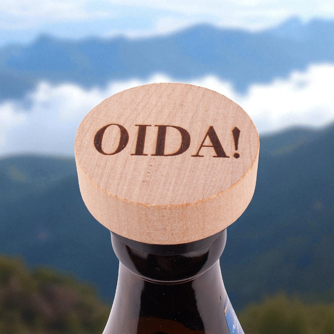 Stopsl &quot;OIDA!&quot;