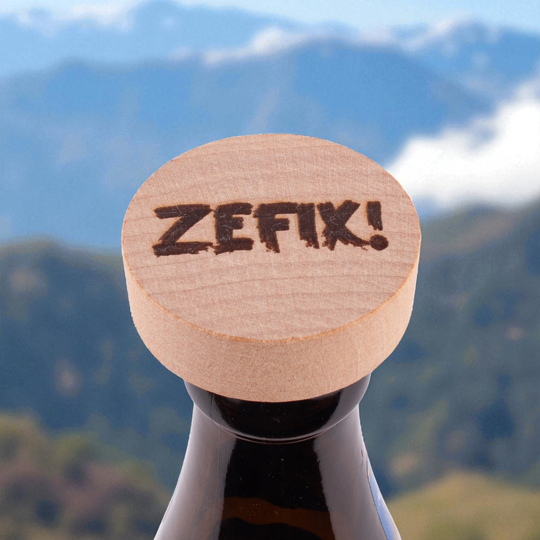 Stopsl &quot;ZEFIX!&quot;