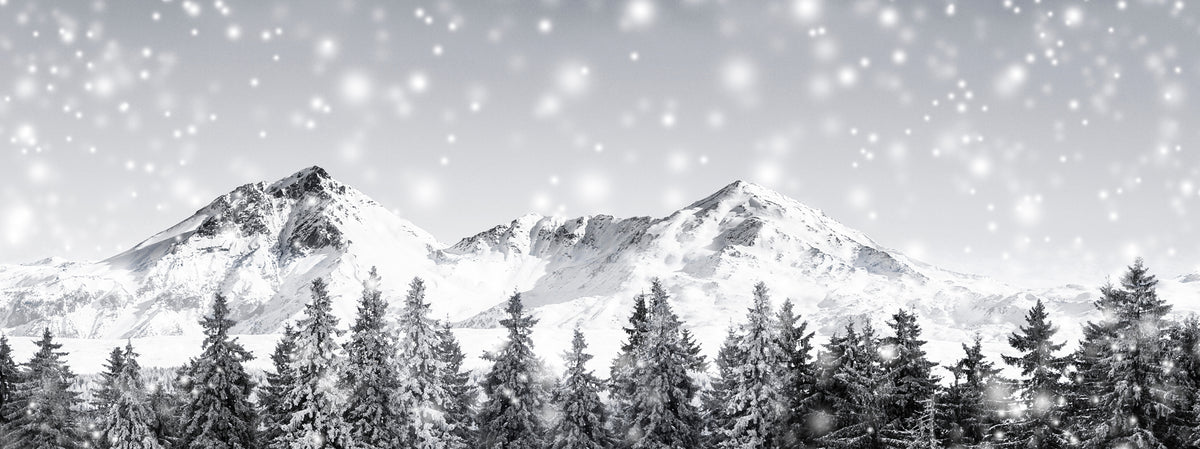 Verschneite Berge und Tannenwald im Winter
